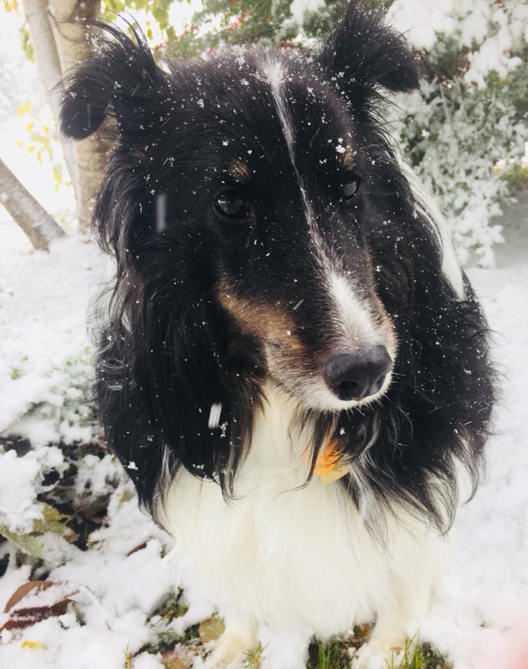 Snow, 10/14